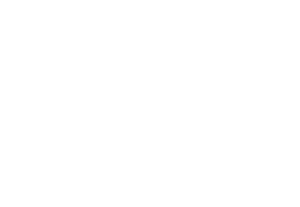 ibis